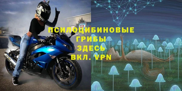 ГАЛЛЮЦИНОГЕННЫЕ ГРИБЫ Алексин