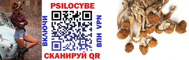 Галлюциногенные грибы Psilocybe  Домодедово 