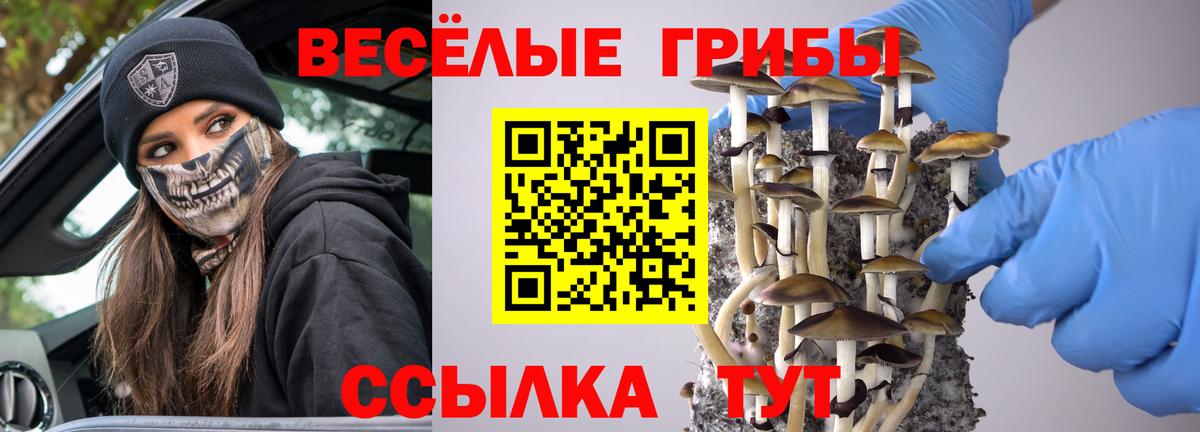 Галлюциногенные грибы ЛСД  Вход с VPN  Домодедово 